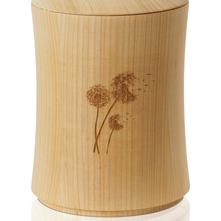 Kirschbaum Pusteblume