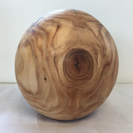 Kugel - falscher Christusdorn